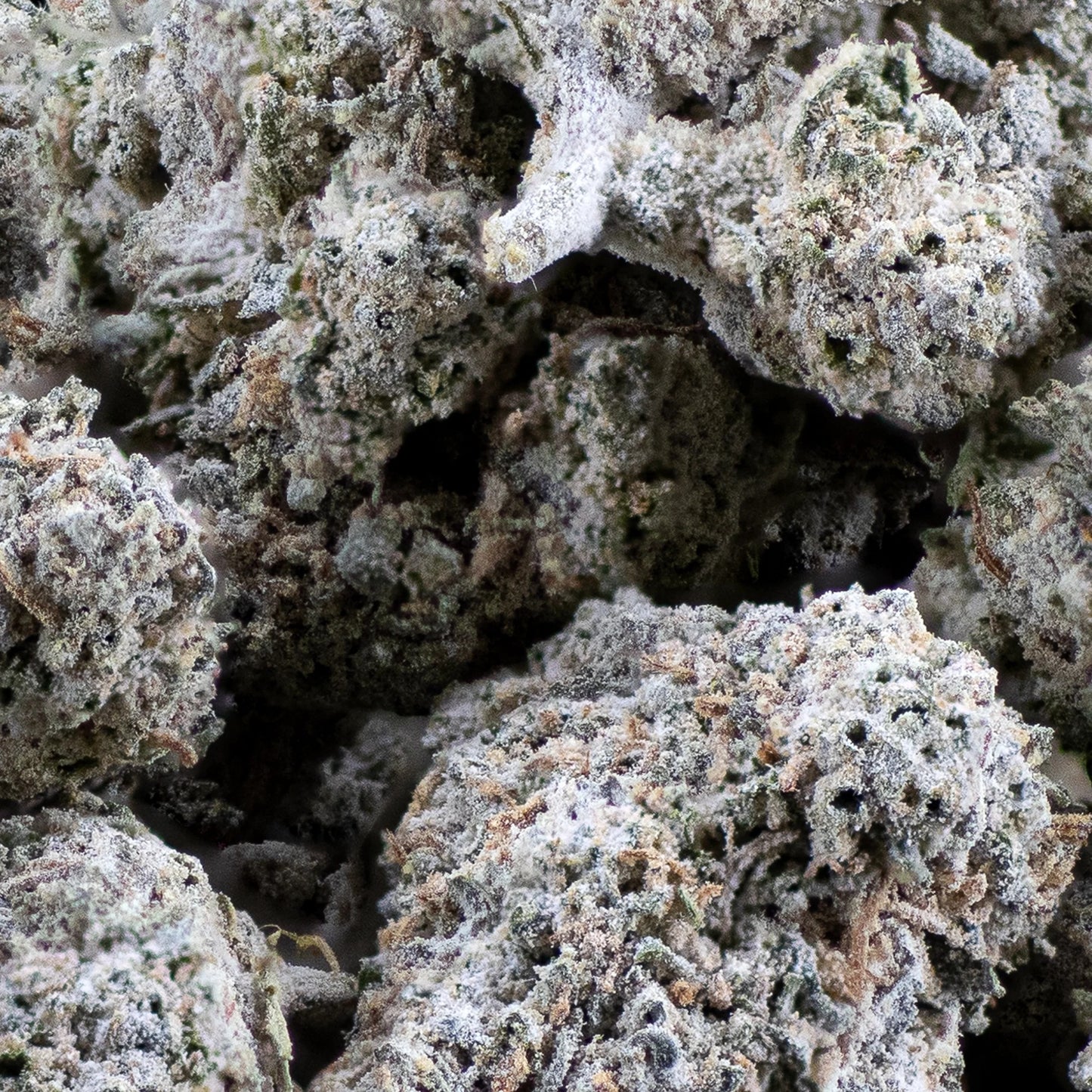 THCA Buds - White Widow - 22%