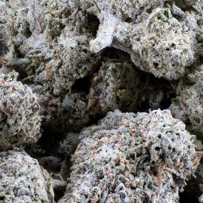 THCA Buds - White Widow - 22%