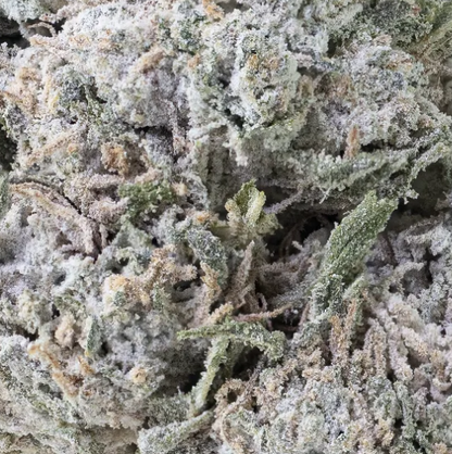 THCA Buds - Cherry Bomb - 22%