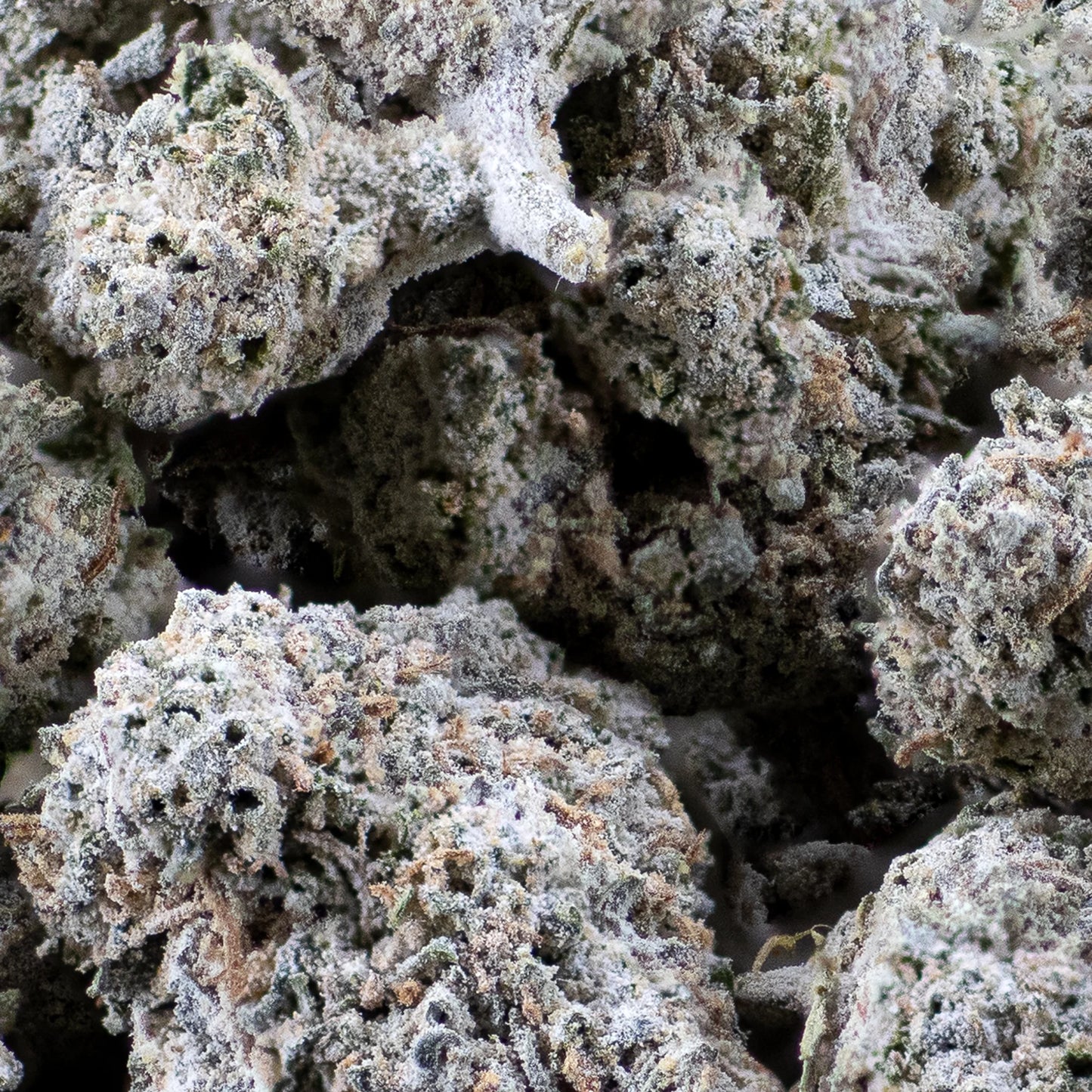 THCA Buds - White Widow - 22%